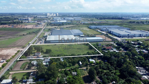 Oportunidad Única De Inversión, Terreno Logístico