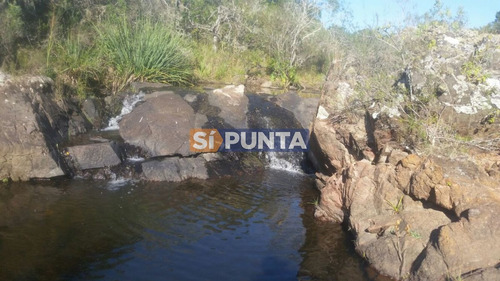 Imagen 6 de 13 de Chacras En Ruta 39 Próximas A Aigua.
