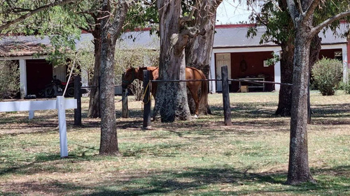 Imagen 25 de 29 de Venta Lote / Chacra En Estancia El Aduar - Zarate