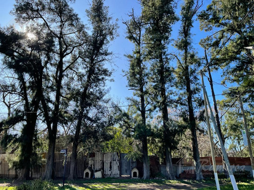 Imagen 20 de 30 de Lote Terreno En Venta 300 M2 - Parques Del Morenito, Moreno Norte