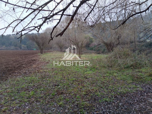 Imagen 8 de 30 de Agrícola En Venta En Teno