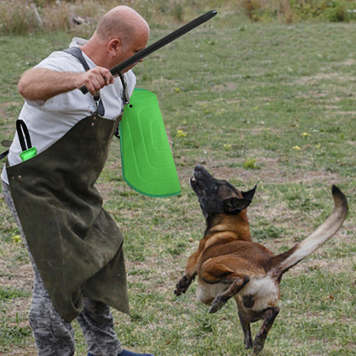 Juego De Entrenamiento De Mordeduras De Perro De 3 Piezas,