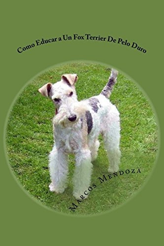 Como Educar A Un Fox Terrier De Pelo Duro