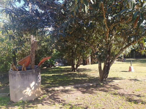 Imagem 7 de 14 de Chácara Á Venda Em Ibiúna - Sp! 700m Da Rod Bunjiro Nakao