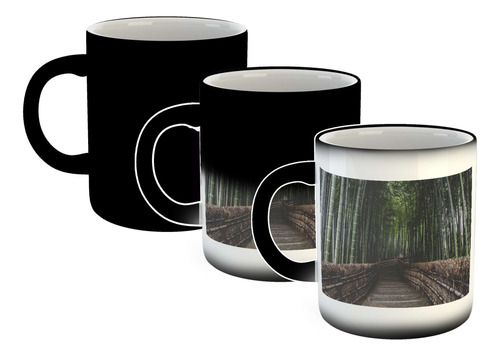 Taza Magica Bosque Bambu Japón Entrada Camino