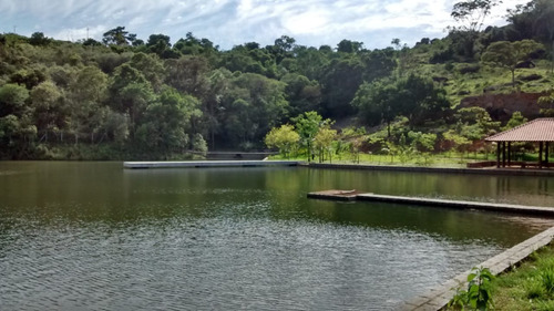 Imagem 8 de 22 de Fazenda 63 Alqueires, Rica Em Água Com 5 Lagos, 3 Casas Amplas, 3 Barracões, 1 Mangueirão, 1 Cocheira, 1 Galinheiro, 3 Casas De Funcionários, Pasto - Fa00189 - 70540162