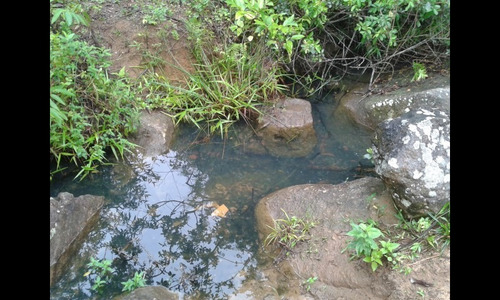 Imagem 7 de 11 de Fazenda Rj Morangaba/imbé