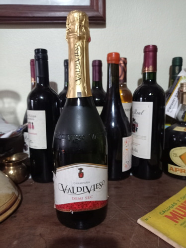 Botella Champagne Valdivieso Sellada 