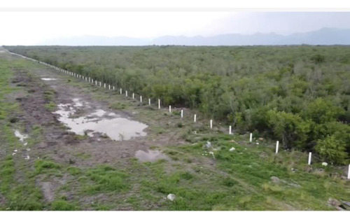 Terreno En Venta En Cadereyta Jimenez Centro