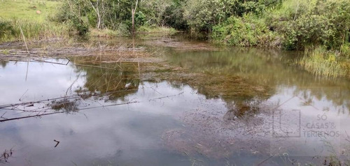 Fazenda À Venda, 65 Alqueires Por R$ 3.000.000 - Sítio Rural - São Sebastião Do Paraíso/mg - Fa0012
