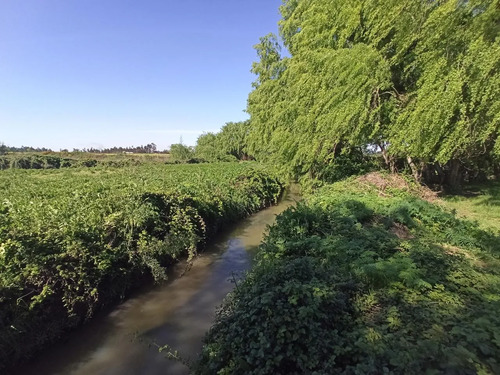 Terreno Agrícola De 6,8 Ha En Venta En San Clemente