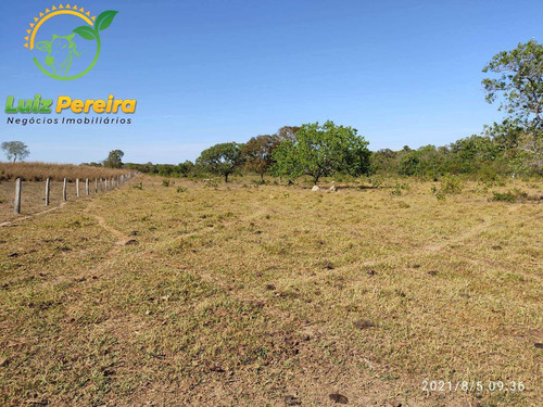 Imagem 11 de 15 de Fazenda À Venda No Vale Do Araguaia - To 532 Hec (dupla Aptidão) - 1912