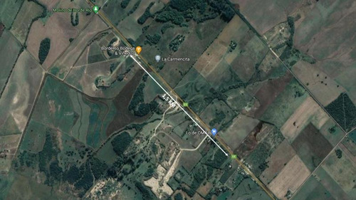 Imagen 5 de 11 de Campo De 8 Has Sobre Ruta 11, A 1,5 Km De Viñedo Borde Rio
