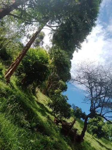 Finca Via Juntas - Ibagué