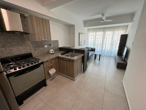 Apartamento Amueblado Nuevo En El Vergel