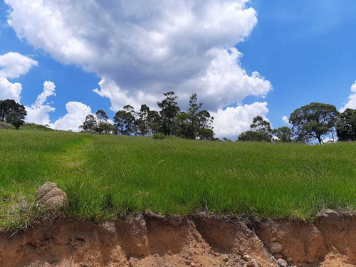 Tenha Um Terreno Com Boa Área Para Construir Sua Chácara.