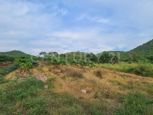 Venta Rancho Los Asmoles Colima