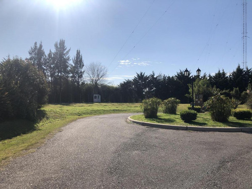 Imagen 2 de 3 de Terreno - Ituzaingó
