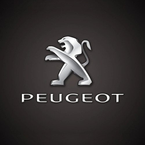 Imagen 7 de 10 de Parrillas Suspension Peugeot 206 207 Con Rotulas Y Bujes X2