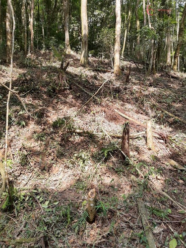 Imagem 10 de 26 de Terrenos Em Loteamento Fechado À Venda Em Mairiporã/sp - Compre O Seu Terrenos Em Loteamento Fechado Aqui! - 1452335