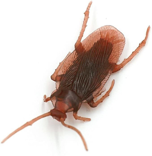 Cooplay 10 Piezas De Época Mock Falso Plástico Roach Cucarac