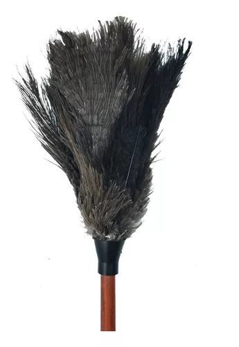 Plumero de plumas de avestruz grande vintage, limpiador de polvo, plumero  de largo alcance -  México