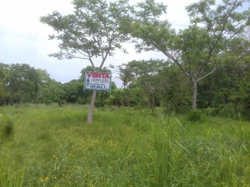 Venta Terreno 5,000 A 30,000 M² Frente Al Río Juana Moza Tuxpan Veracruz