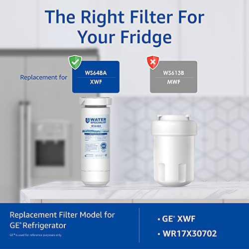Filtro De Agua Para Heladera Waterspecialist Xwf Nsf Cer