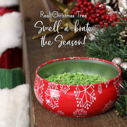 Aromatizante Navideño Abeto Blanco Sin Flama. Scentsicles