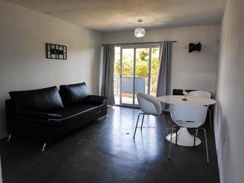 Imagen 4 de 14 de Departamento 2 Ambientes De 50 M2 C/ Cochera - Las Gaviotas | Cod.0426a |