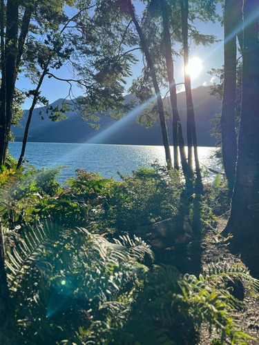 Propiedad En Venta Lago Todos Los Santos