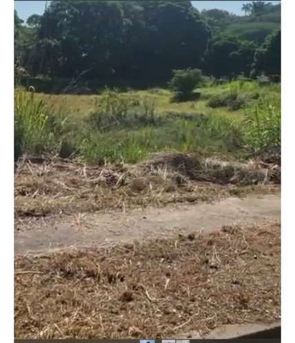 Se Vende Terreno 4149m2 Macaracuay