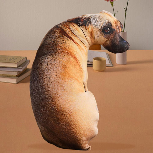Almofada 3d Cachorro Caramelo Meme 50cm - Pronta Entrega2025
