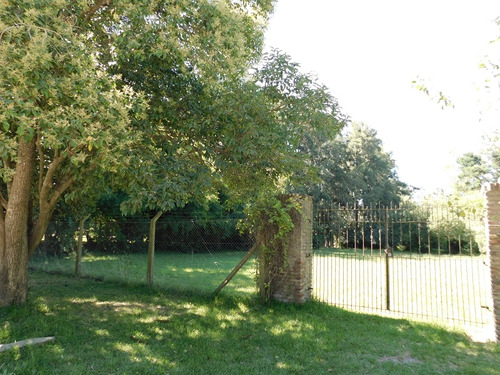 Venta Lote Arbolado 3000 Mts2 Arbolado Cerce De Laguna De Ch