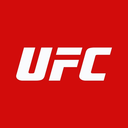 Cinturon Escudo Potencia Ufc Boxeo Taekwondo Kick Boxing