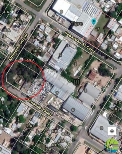 Imagen 3 de 3 de Terreno - Tigre