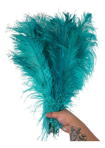 Plumas De Avestruz Penas Palito Decoração Carnaval 100g Cor Tifany