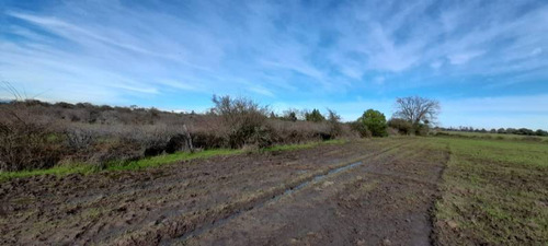 Campo Para Inversión En San Carlos
