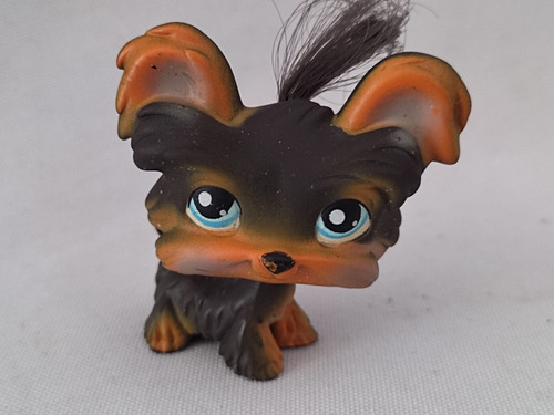 Perro Shih Tzu  Littlest Pet Shop  Hasbro