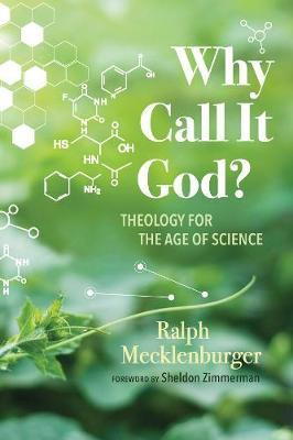 Libro Why Call It God? - Ralph Mecklenburger
