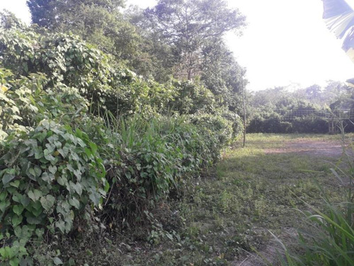 Imagen 2 de 4 de Terreno En Venta La Escondida