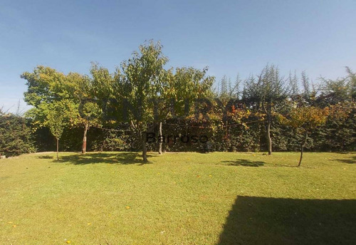 Imagen 11 de 26 de Se Vende Hermosa Casa Con Gran Terreno Lujan Perdriel