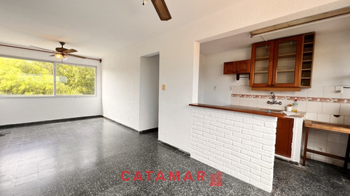 Apartamento Alquiler Anual Maldonado Barrio Norte