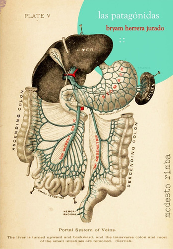 Las Patagónidas