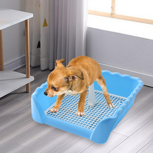Bandeja De Baño De Entrenamiento Para Gatos Y Azul Pequeño