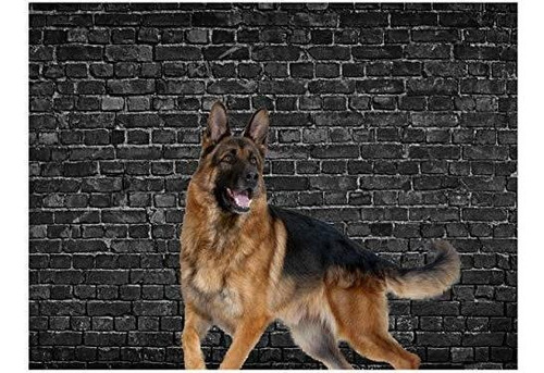 8x8ft Brick Backdrop Black Wall Photography Vintage Baby