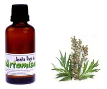 Comprar Aceite De Artemisa 60ml- Natural Sin Aditivos-100% Puro