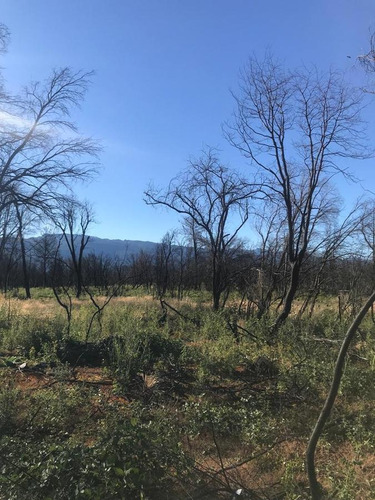 Imagen 6 de 10 de Terreno - Las Golondrinas