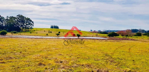 Venta De Chacra En Jose Ignacio, Medellin.- Ref: 1682