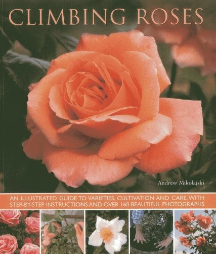 Climbing Roses An Illustrated Guide To Varieties, Cultivatio
